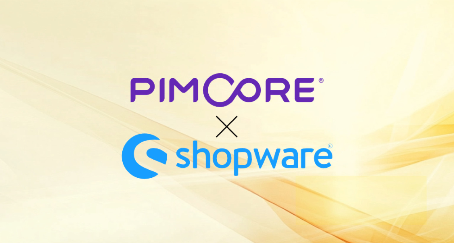 Shopware und Pimcore: Wachstum und Effizienz in Harmonie