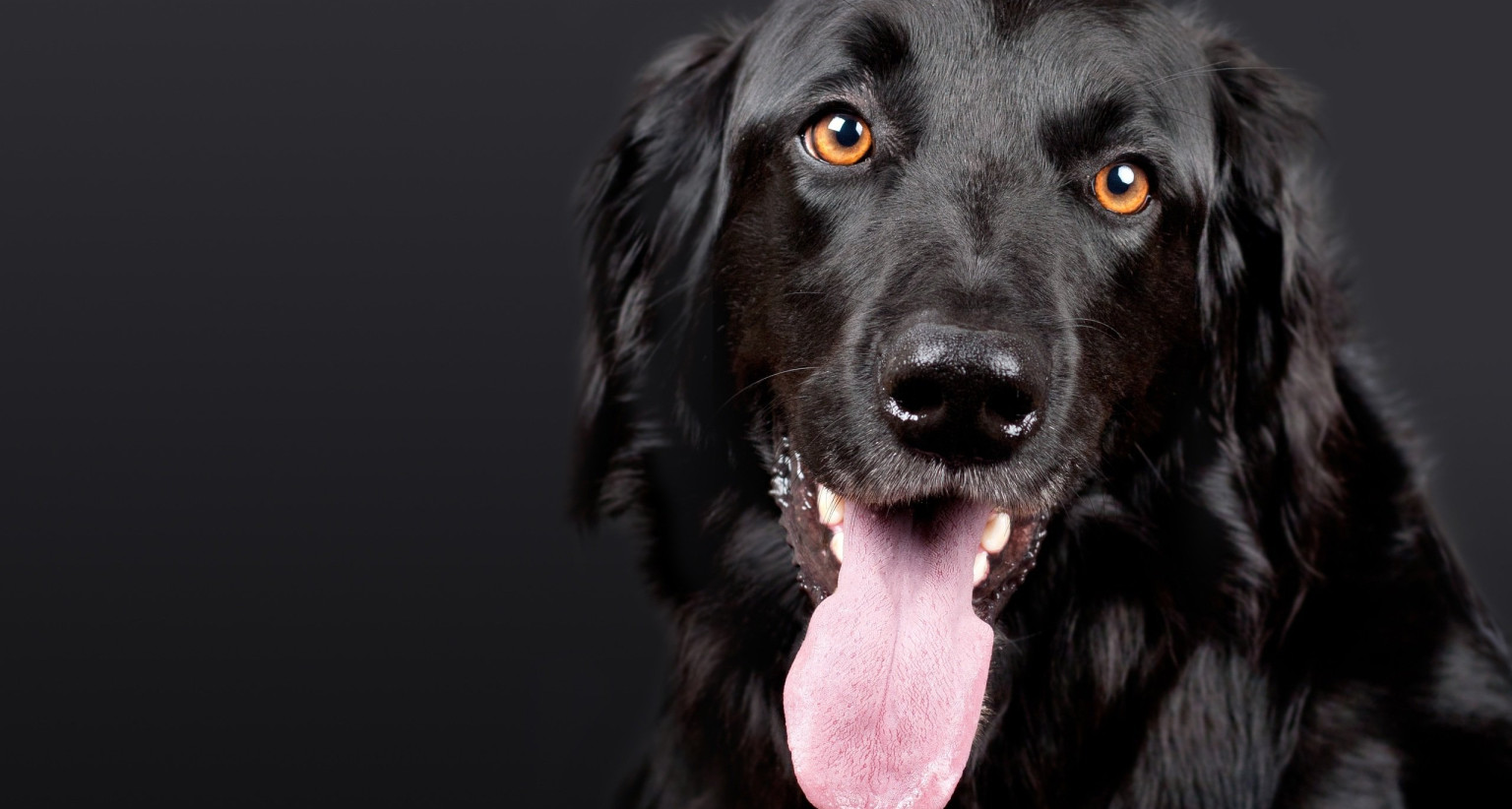 Isartau - Shopware 6 Relaunch by Mothership GmbH